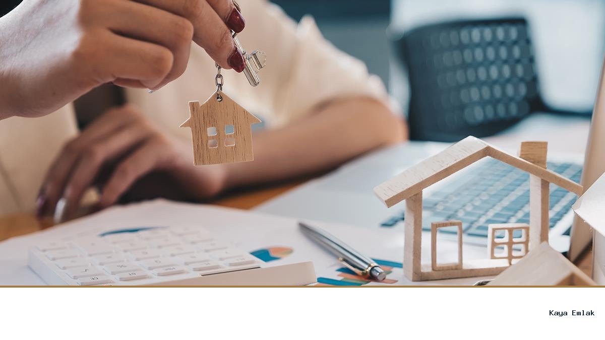 ROI Nedir? Nasıl Hesaplanır?