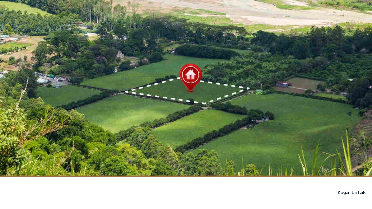 Tarımsal Emlak Yatırımlarında Agroturizm Etkisi